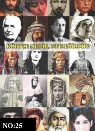 What is Kurdish, What is it Not?